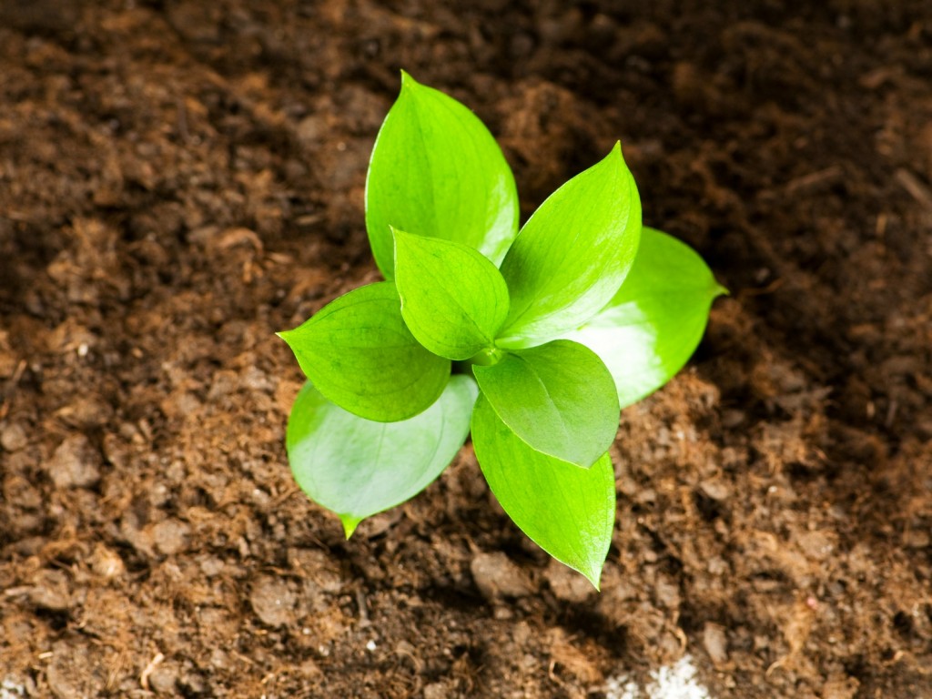 More Insight into your Sales and Business