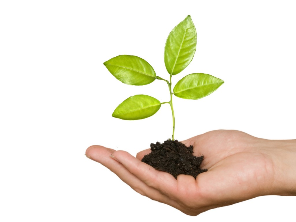 More Insight into your Sales and Business
